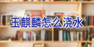 玉麒麟怎么浇水