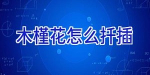 木槿花怎么扦插