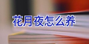 花月夜怎么养