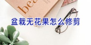 盆栽无花果怎么修剪