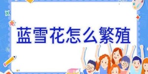 蓝雪花怎么繁殖