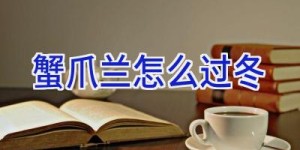 蟹爪兰怎么过冬