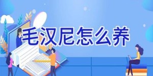 毛汉尼怎么养