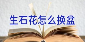 生石花怎么换盆