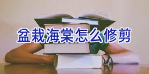 盆栽海棠怎么修剪