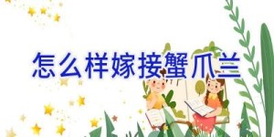 怎么样嫁接蟹爪兰