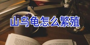 山乌龟怎么繁殖