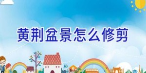 黄荆盆景怎么修剪