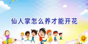 仙人掌怎么养才能开花