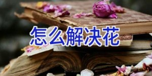 怎么解决花