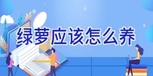 绿萝应该怎么养