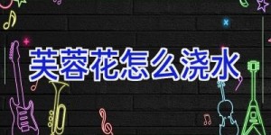 芙蓉花怎么浇水