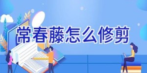 常春藤怎么修剪