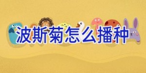 波斯菊怎么播种