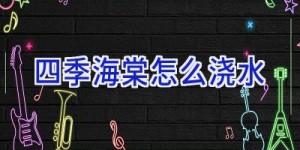 四季海棠怎么浇水