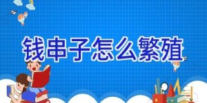 钱串子怎么繁殖