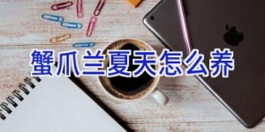 蟹爪兰夏天怎么养