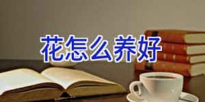 花怎么养好