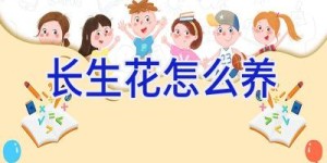 长生花怎么养