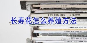 长寿花怎么养殖方法