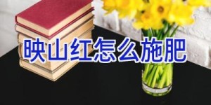 映山红怎么施肥