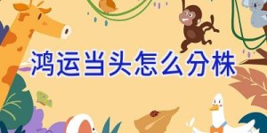 鸿运当头怎么分株