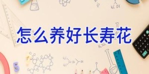 怎么养好长寿花