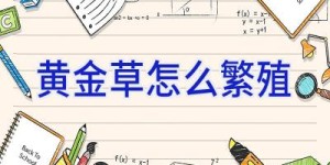 黄金草怎么繁殖