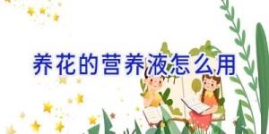 养花的营养液怎么用