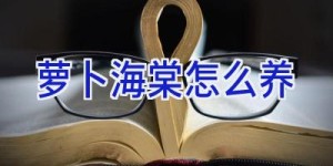 萝卜海棠怎么养