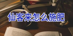 仙客来怎么施肥