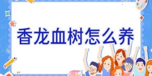 香龙血树怎么养