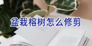 盆栽榕树怎么修剪