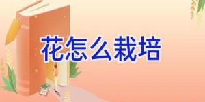 花怎么栽培