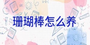珊瑚棒怎么养