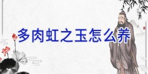 多肉虹之玉怎么养