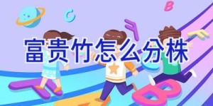 富贵竹怎么分株