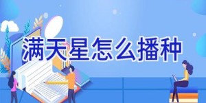 满天星怎么播种