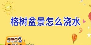 榕树盆景怎么浇水