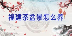 福建茶盆景怎么养