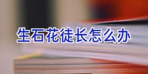 生石花徒长怎么办