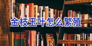 金枝玉叶怎么繁殖