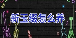 新玉缀怎么养