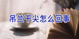 吊兰干尖怎么回事