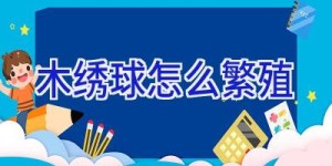 木绣球怎么繁殖