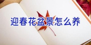 迎春花盆景怎么养