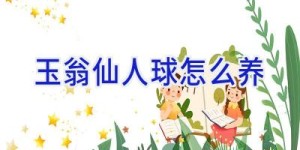 玉翁仙人球怎么养