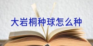 大岩桐种球怎么种
