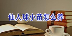 仙人球小苗怎么养