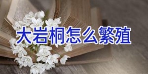 大岩桐怎么繁殖